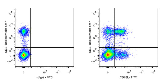 FITC Rat Anti-Mouse CD62L Antibody (MEL-14)