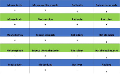 Trim30a Recombinant Rabbit mAb (S-1753-35)