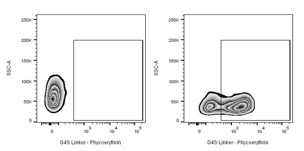 G4S Linker Recombinant Rabbit mAb (PE Conjugate) (S-711-23)