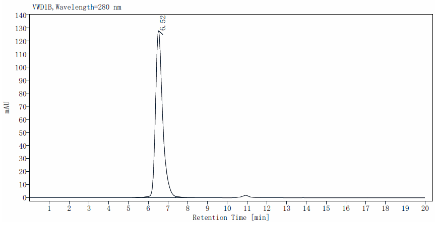 Flt-3/Flk-2 Protein, Human