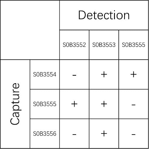 Trypsin Recombinant Rabbit mAb (SDT-2433-48)