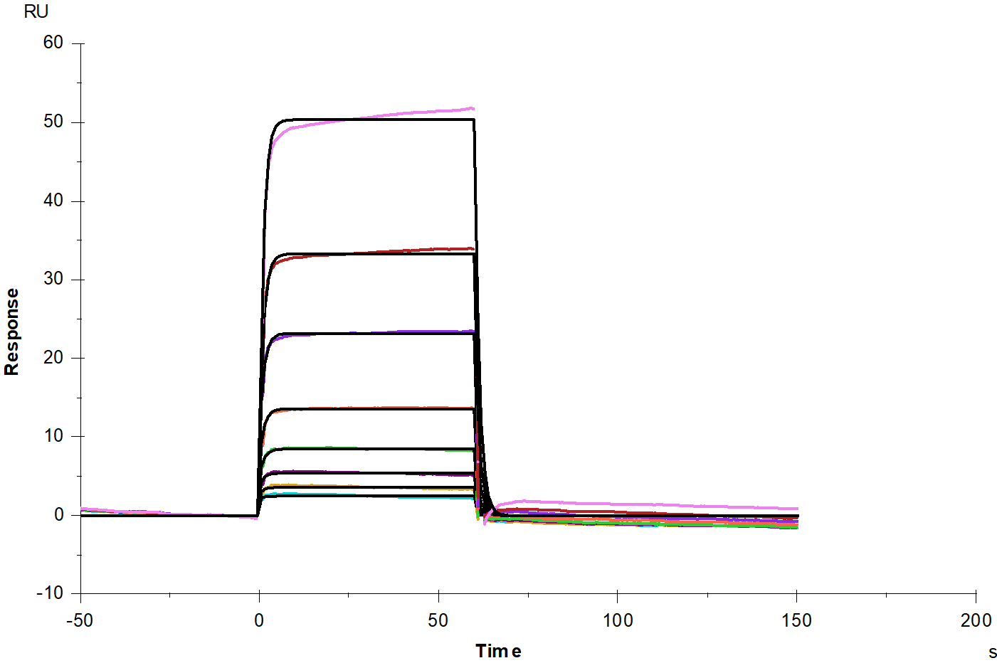 Siglec-10 Fc Chimera Protein, Human