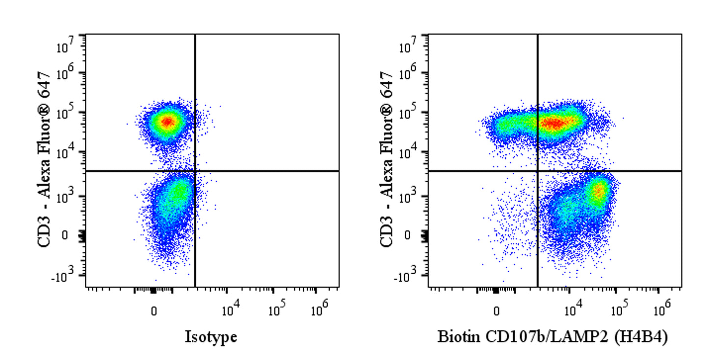 Biotin Mouse Anti-Human CD107b/LAMP2 (H4B4)