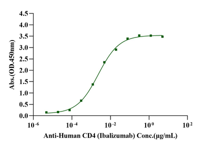 CD4/LEU3 Fc Chimera Protein, Human
