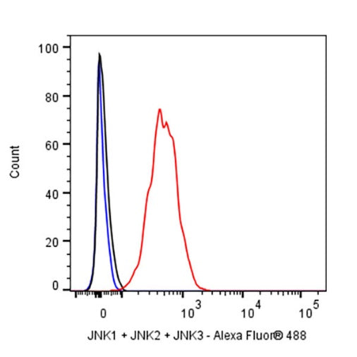JNK1 + JNK2 + JNK3 Recombinant Rabbit mAb (S-3385)