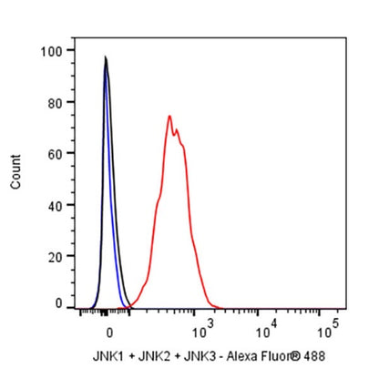 JNK1 + JNK2 + JNK3 Recombinant Rabbit mAb (S-3385)