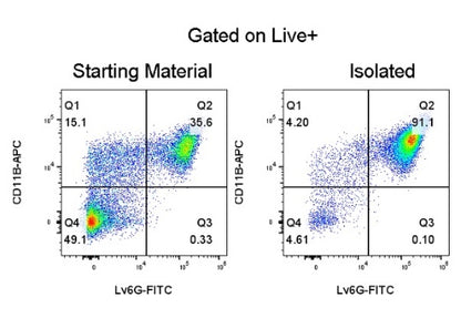 Mouse Neutrophil Isolation Kit (Column-Based)
