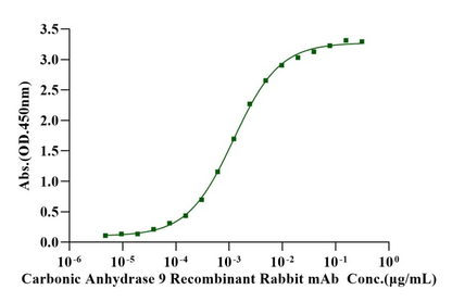 Carbonic Anhydrase IX/CA9 His Tag Protein, Cynomolgus