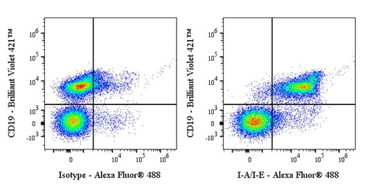 Invivo anti-Mouse I-A/I-E Recombinant mAb