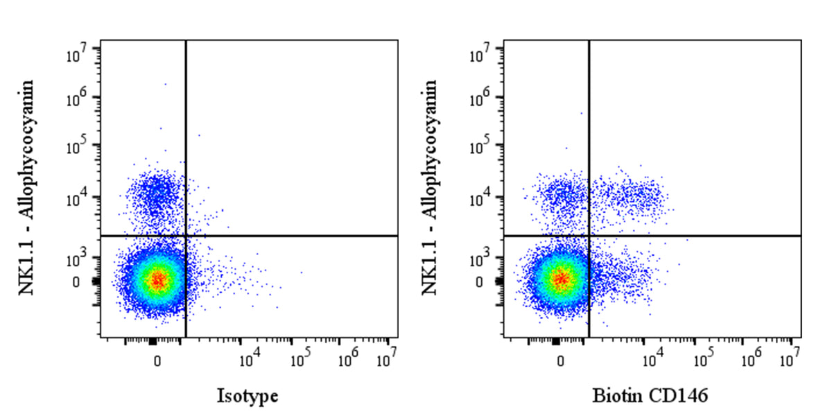 Biotin Rat Anti-Mouse CD146 Antibody (S-R606)