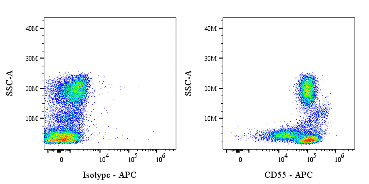 APC Mouse Anti-Human CD55 Antibody (S-3120)