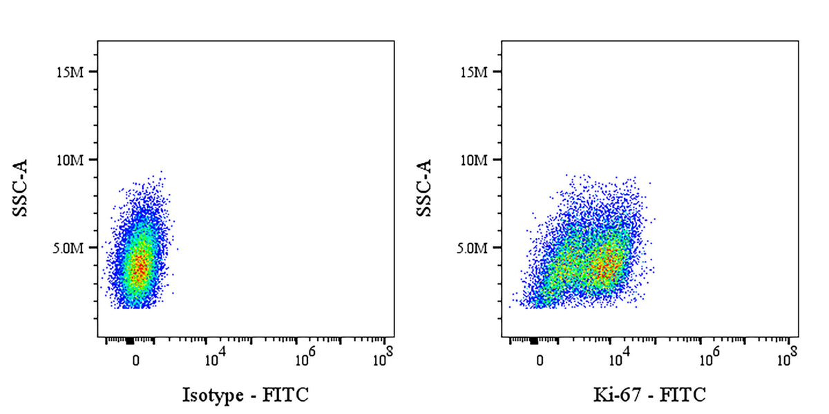 FITC Rat Anti-Mouse Ki-67 Antibody (S-R595)