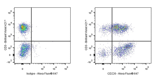 Mouse Anti-Human CD226 Antibody (DX11)