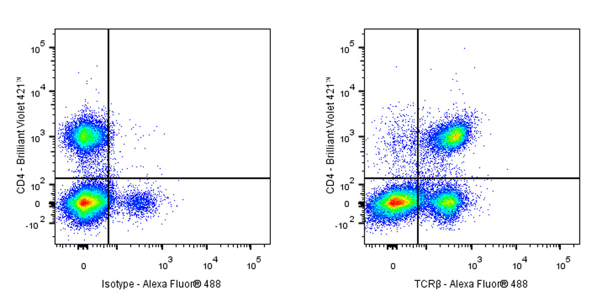 Armenian hamster Anti-Mouse TCR β Antibody (S-3829)