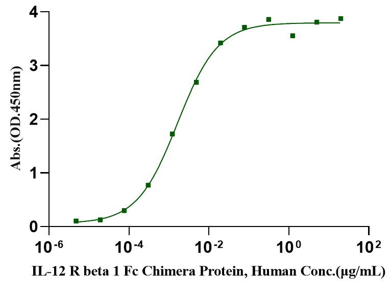 IL-23 Protein, Human