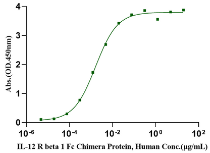 IL-23 Protein, Human