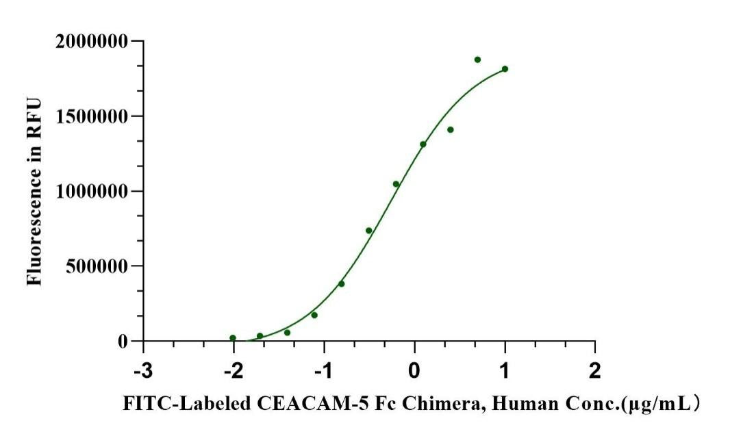 FITC-Labeled CEACAM-5/CD66e Fc Chimera Protein, Human
