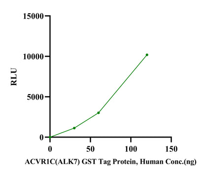 ACVR1C(ALK7) GST Tag Protein, Human