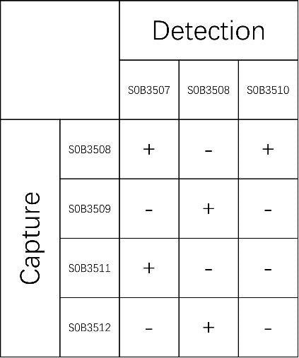 BCMA Recombinant Rabbit mAb (SDT-2397-7)