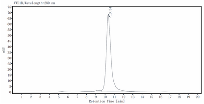 LR3-IGF-I Protein, Salmon