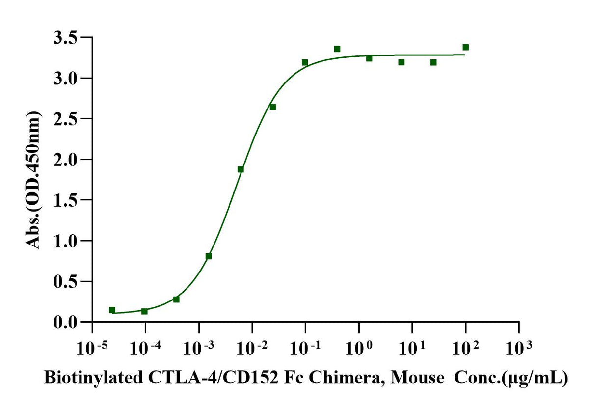 B7-1/CD80 Fc Chimera Protein, Mouse