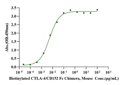 B7-1/CD80 Fc Chimera Protein, Mouse