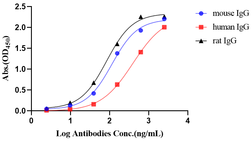 Rabbit Anti-Human/Mouse/Rat IgG (heavy chain specific) (HRP Conjugate)