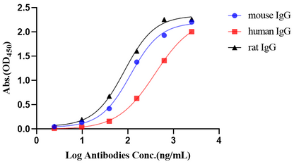 Rabbit Anti-Human/Mouse/Rat IgG (heavy chain specific) (HRP Conjugate)