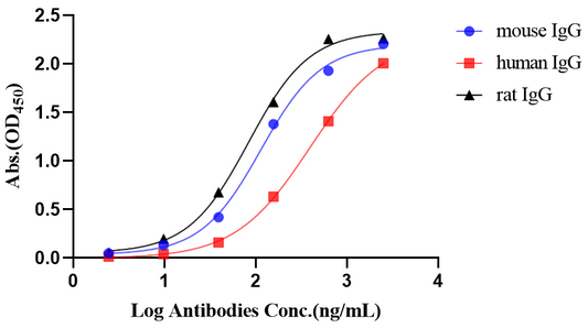 Rabbit Anti-Human/Mouse/Rat IgG (heavy chain specific) (HRP Conjugate)