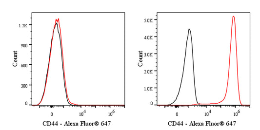 Alexa Fluor® 647 Rabbit Anti-Human CD44 Antibody (S-944-25)