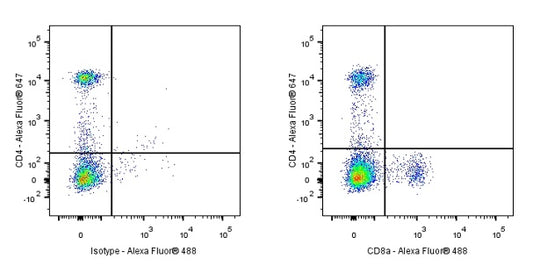 Rat anti-Mouse CD8α Antibody (53-6.7)
