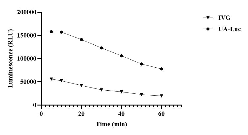 UA-Luc 4 Lucia/Gaussia Luminescence Detection Kit