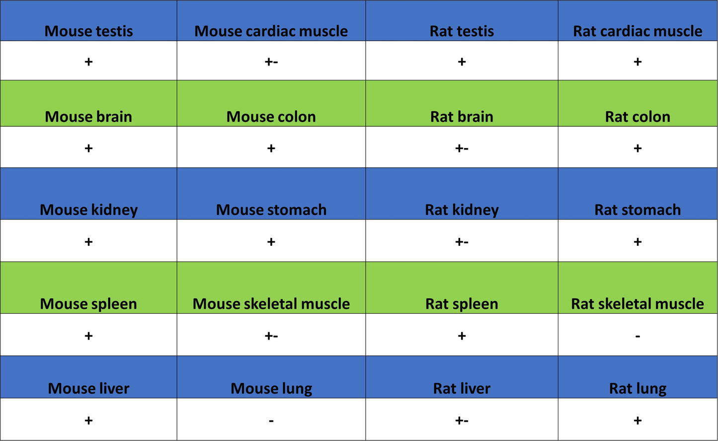 SMARCA3 Recombinant Rabbit mAb (S-3575-154)