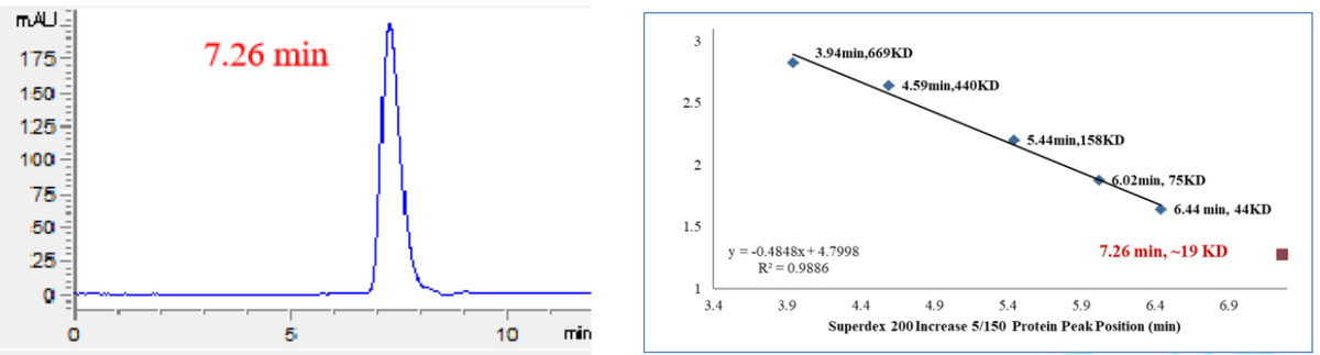 BRD4 His Tag Protein, Human
