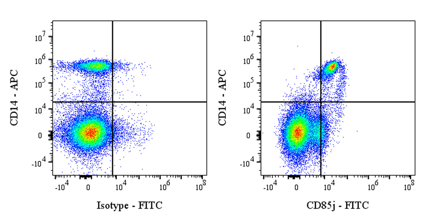 FITC Mouse Anti-Human CD85j Antibody (S-3041)
