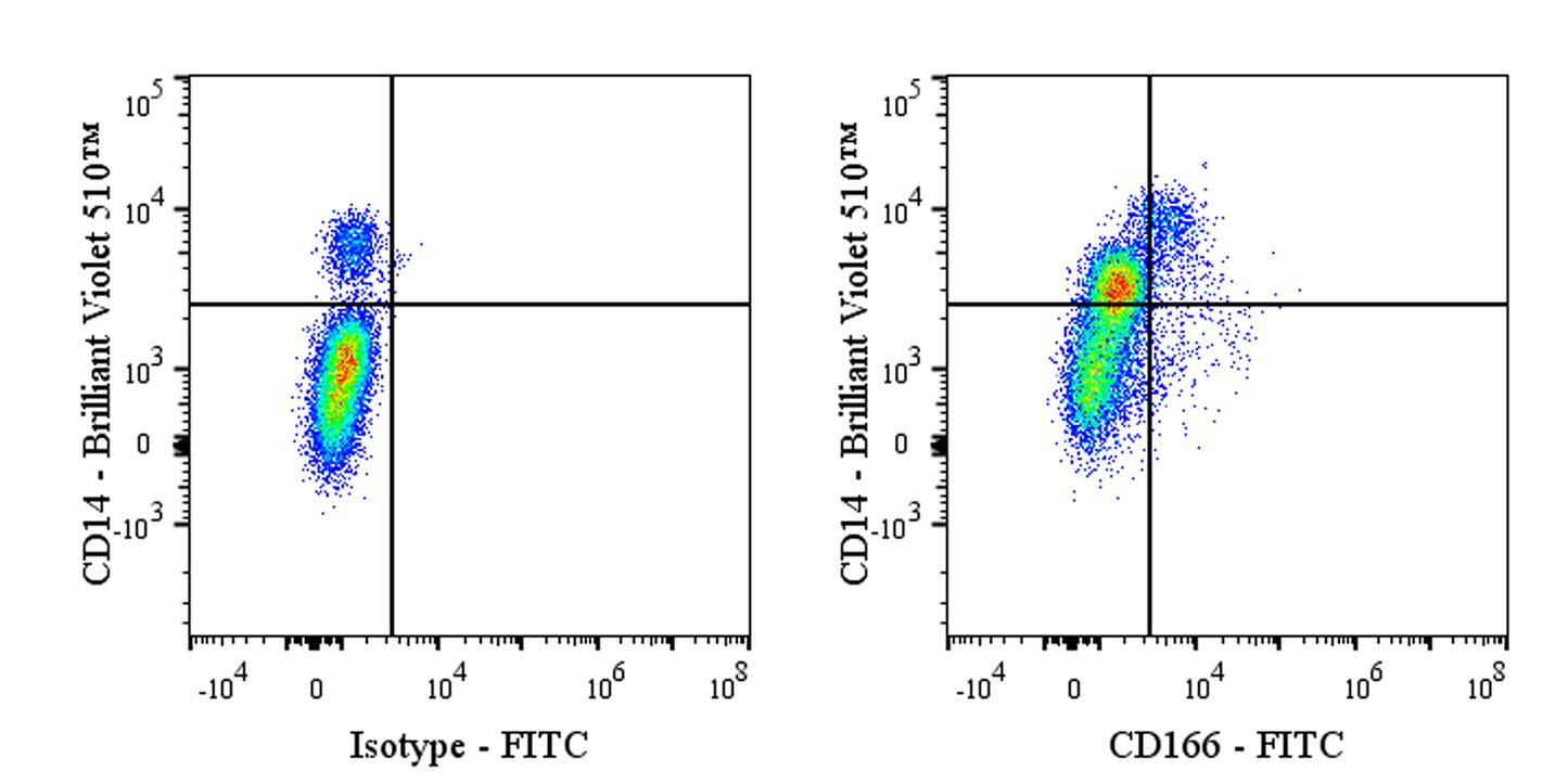 FITC Mouse Anti-Human CD166 Antibody (S-2869)