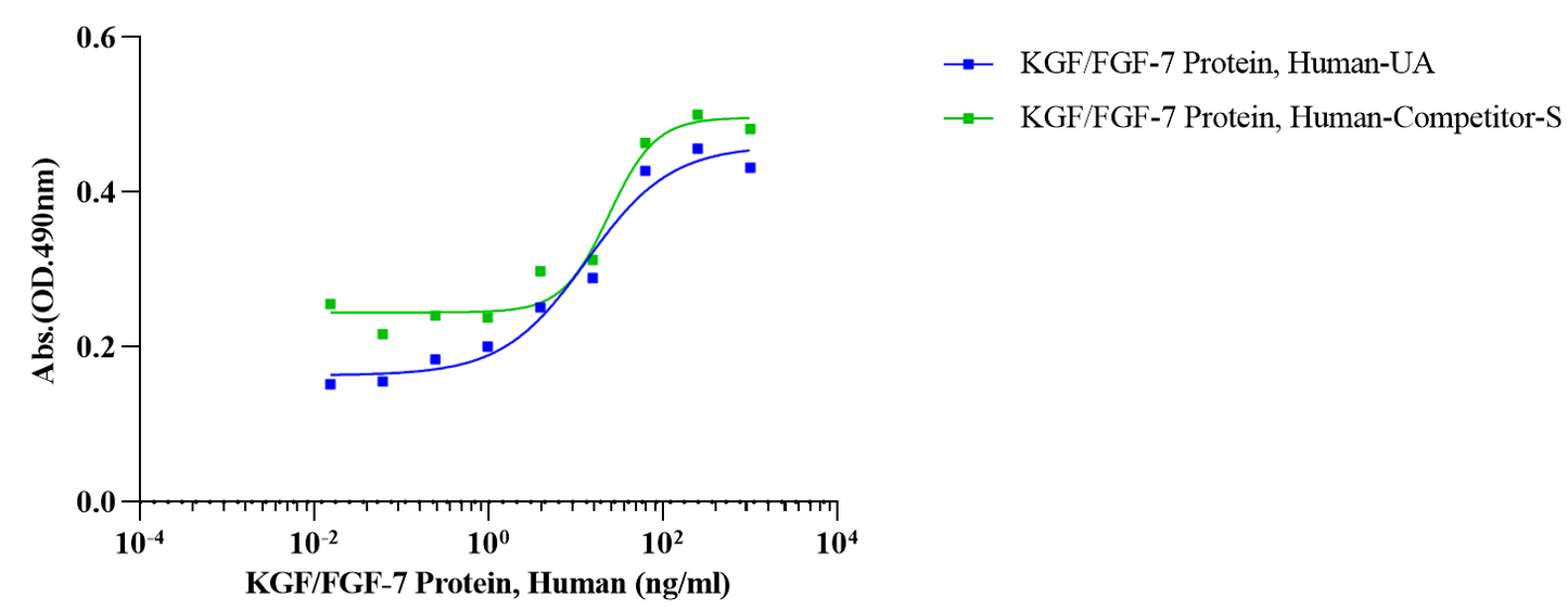 KGF/FGF-7 Protein, Human