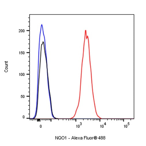 NQO1 Recombinant Rabbit mAb (S-1672-2)
