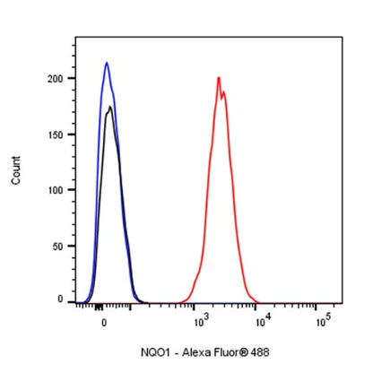 NQO1 Recombinant Rabbit mAb (S-1672-2)
