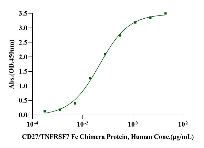 CD27 Ligand/CD70 His&Flag Tag Trimer design Protein, Human