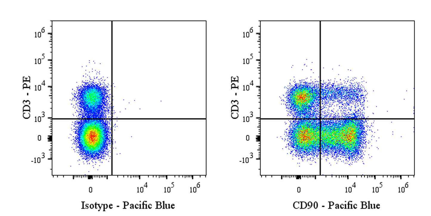 Pacific Blue Mouse Anti-Rat CD90 Antibody (S-R687)