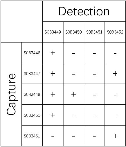 Lactoferrin Recombinant Rabbit mAb (SDT-1618-66)
