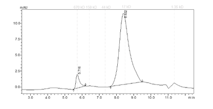 KAT6A Protein, Human