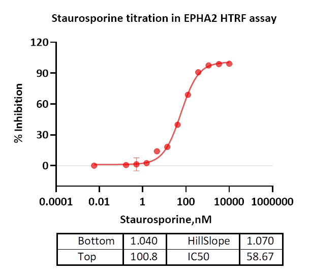 EPHA2 Protein
