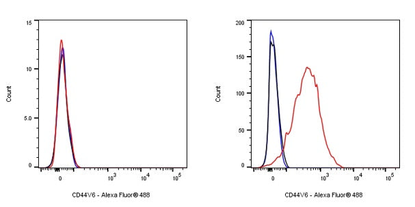 CD44v6 Recombinant Rabbit mAb (S-944-13)