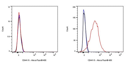 CD44v6 Recombinant Rabbit mAb (S-944-13)
