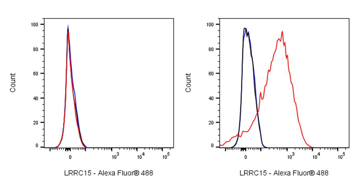 LRRC15 Recombinant Rabbit mAb (S-2473-43)
