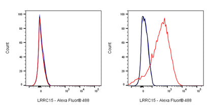 LRRC15 Recombinant Rabbit mAb (S-2473-43)