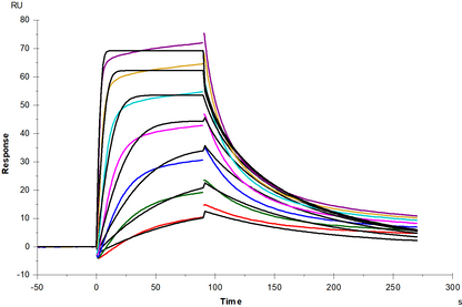 IL-7R alpha/CD127 Fc Chimera Protein, Mouse