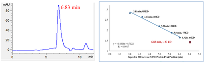Cyclin A2 Protein, Human